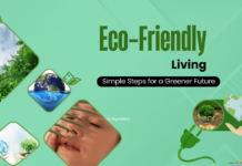 Eco-Friendly Living: Simple Steps for a Greener Future in 2025 Eco-Friendly Living